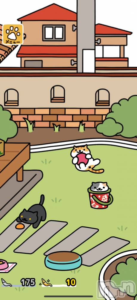 Įʥå륺СL'asile(饸) 饸1122̥֥ǭ