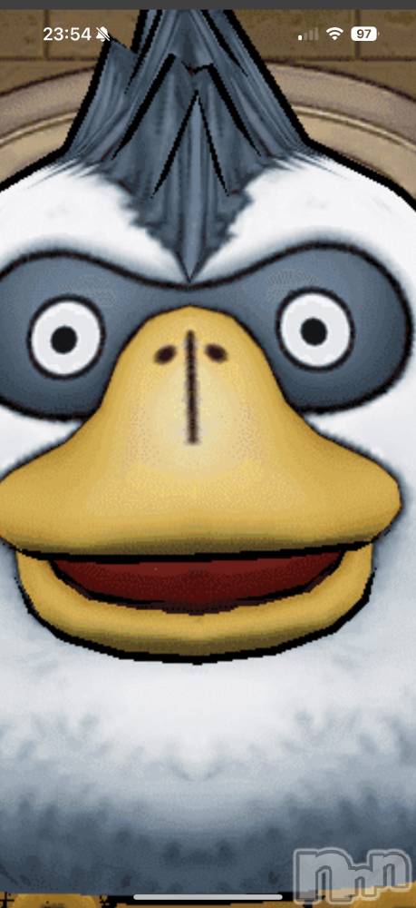 ��Į���ʥå��������륺�С�L'asile(�饸����) �饸����������1��17���̥�֥����֤���ʡ������