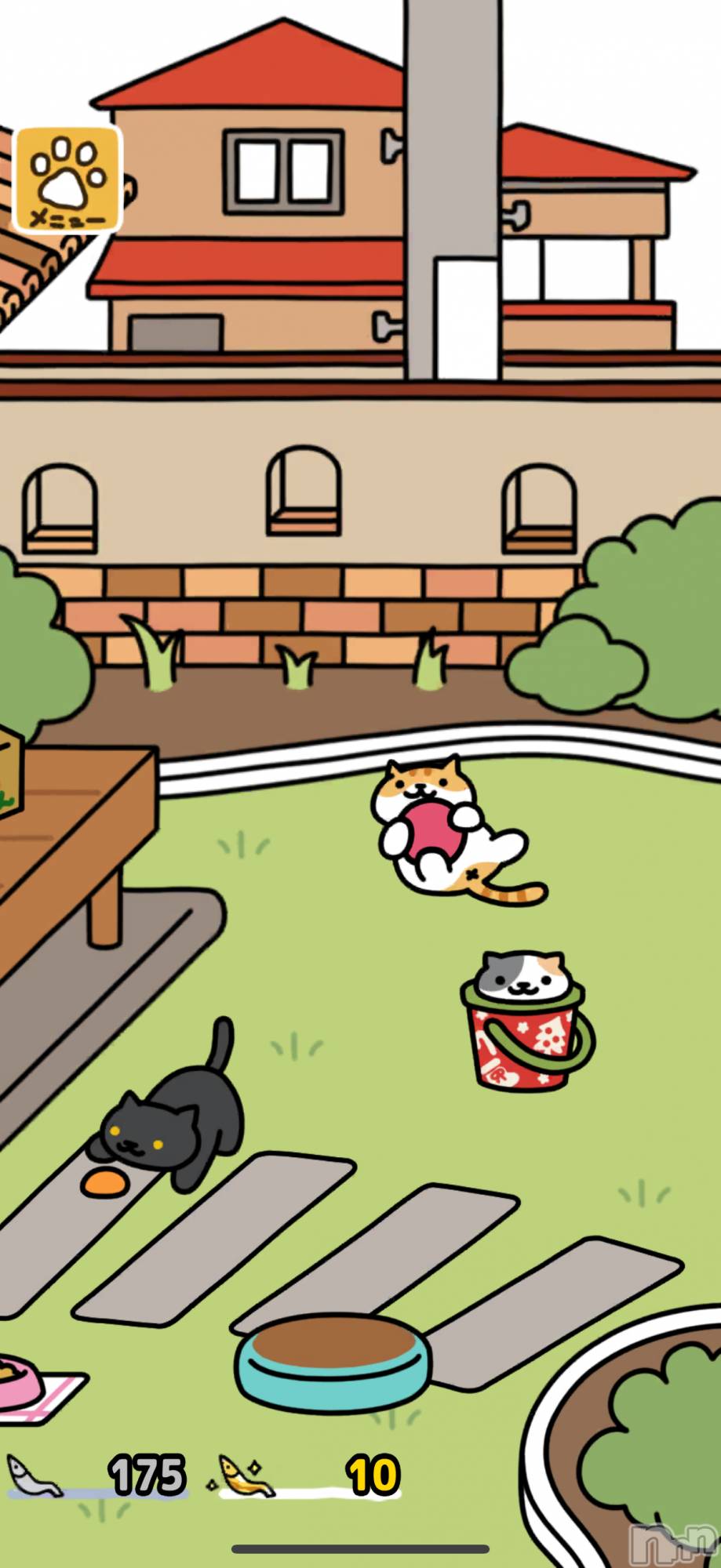 Įʥå륺СL'asile(饸) 2025ǯ1122̥֥ǭ