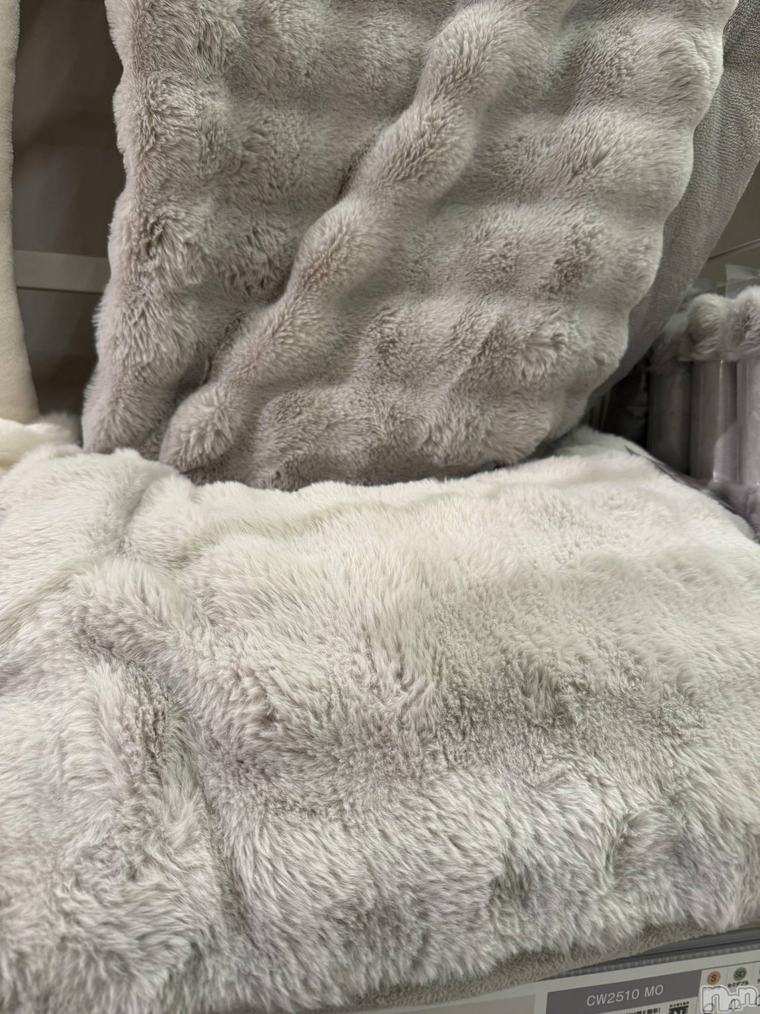 ��Į���ʥå��������륺�С�L'asile(�饸����) ��2026ǯ1��30���̥�֥����֤⤳�⤳��