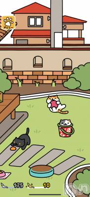 Įʥå륺СL'asile(饸) 饸(22)1122̥֥ǭ