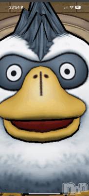 ��Į���ʥå��������륺�С�L'asile(�饸����) �饸���������(22)��1��17���̥�֥����֤���ʡ������