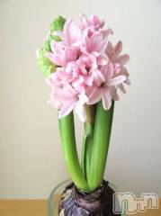 上越デリヘルHONEY(ハニー) さくら(52)の2月8日写メブログ「こんばんは。」