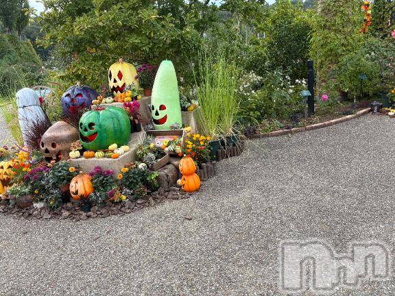 新潟デリヘルGRACE　新潟(グレース　ニイガタ)【新人】神楽（かぐら）(29)の2025年10月26日写メブログ「いいね👻」