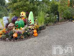 新潟デリヘルGRACE　新潟(グレース　ニイガタ) 【新人】神楽（かぐら）(29)の10月26日写メブログ「いいね👻」