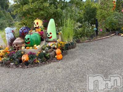 新潟デリヘル GRACE　新潟(グレース　ニイガタ) 【新人】神楽（かぐら）(29)の10月26日写メブログ「いいね👻」