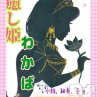 癒し姫　わかば