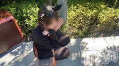 新潟デリヘル奥様特急 新潟店(オクサマトッキュウニイガタテン) さとり(24)の12月10日写メブログ「もっと知って♡」