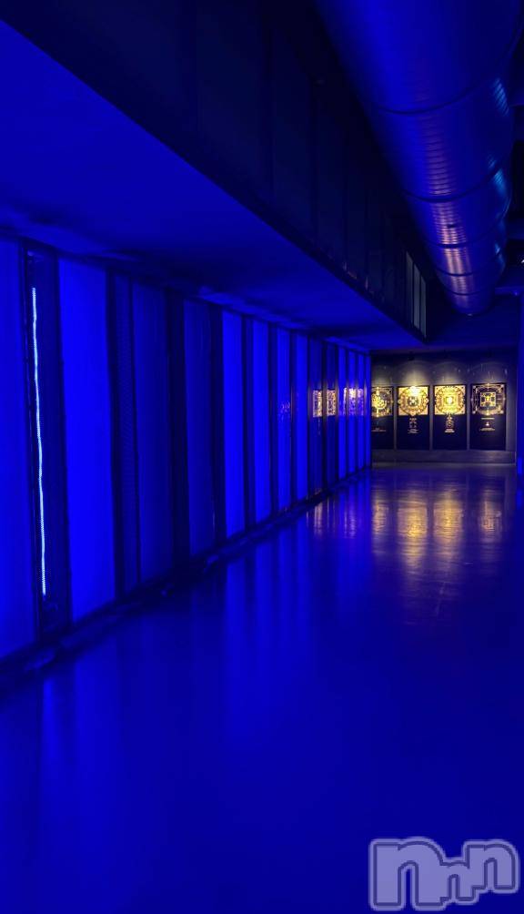 長岡デリヘルROOKIE(ルーキー)さくら☆完全業界未経験(24)の2025年11月23日写メブログ「出勤日だよん♪♪」