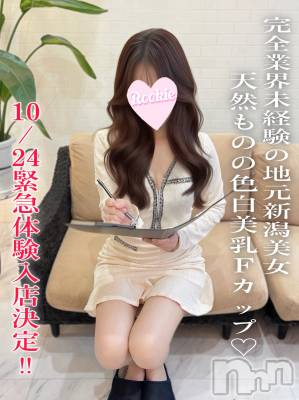 さくら☆完全業界未経験(24) 身長154cm、スリーサイズB88(F).W56.H85。長岡デリヘル ROOKIE(ルーキー)在籍。