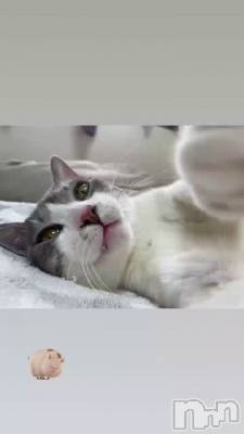 2026�äƤ��Ȥ�