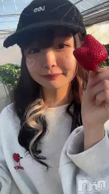 �Ԥ��������