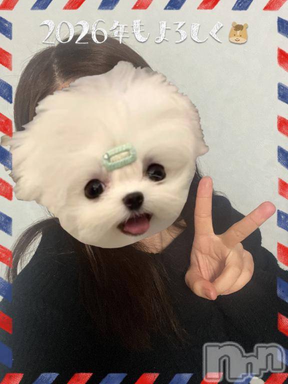 新潟デリヘル奥様特急 新潟店(オクサマトッキュウニイガタテン) りりな(29)の1月1日写メブログ「あけおめです🎍🐴🎍」