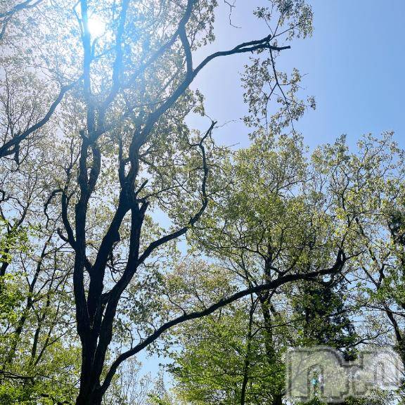 新潟デリヘル奥様特急 新潟店(オクサマトッキュウニイガタテン)りりな(29)の2026年4月29日写メブログ「行ってきた🚗³₃」