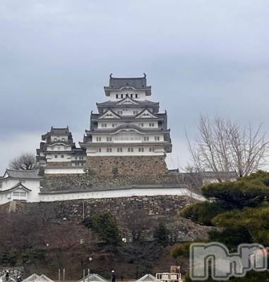 新潟デリヘル 奥様特急 新潟店(オクサマトッキュウニイガタテン) りりな(29)の2月25日写メブログ「旅行に行ってきました🧳🚗³₃」