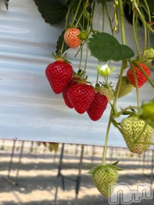 新潟デリヘル sleepy girl(スリーピーガール) 体験かぐやちゃん(18)の10月21日写メブログ「ご予約いただいていたお兄様へ」