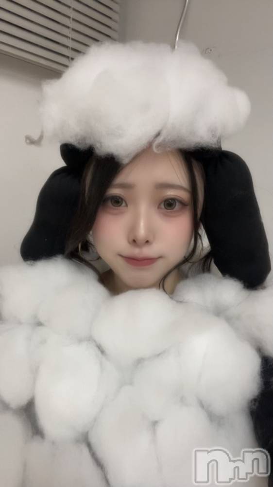 ʥå륺СSnack amie(ʥå ) 1031̥֥֥ϥåԡϥ🎃͙