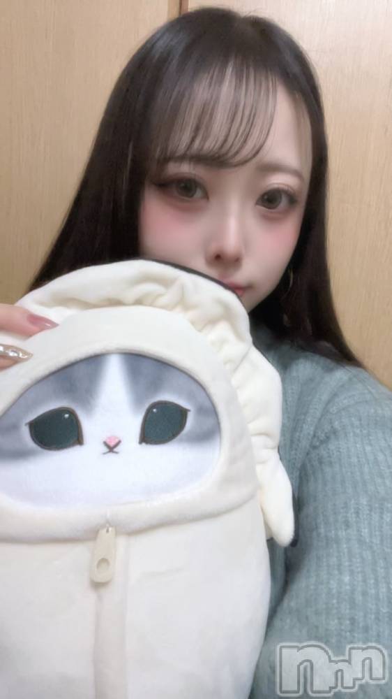 ����������ʥå��������륺�С�Snack amie(���ʥå� ����) ������1��31���̥�֥����ֻ�μ�����