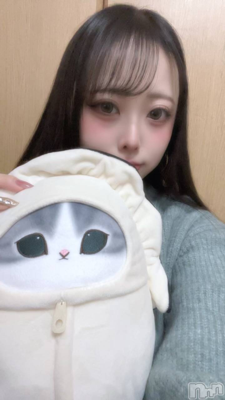 ����������ʥå��������륺�С�Snack amie(���ʥå� ����) ��2026ǯ1��31���̥�֥����ֻ�μ�����