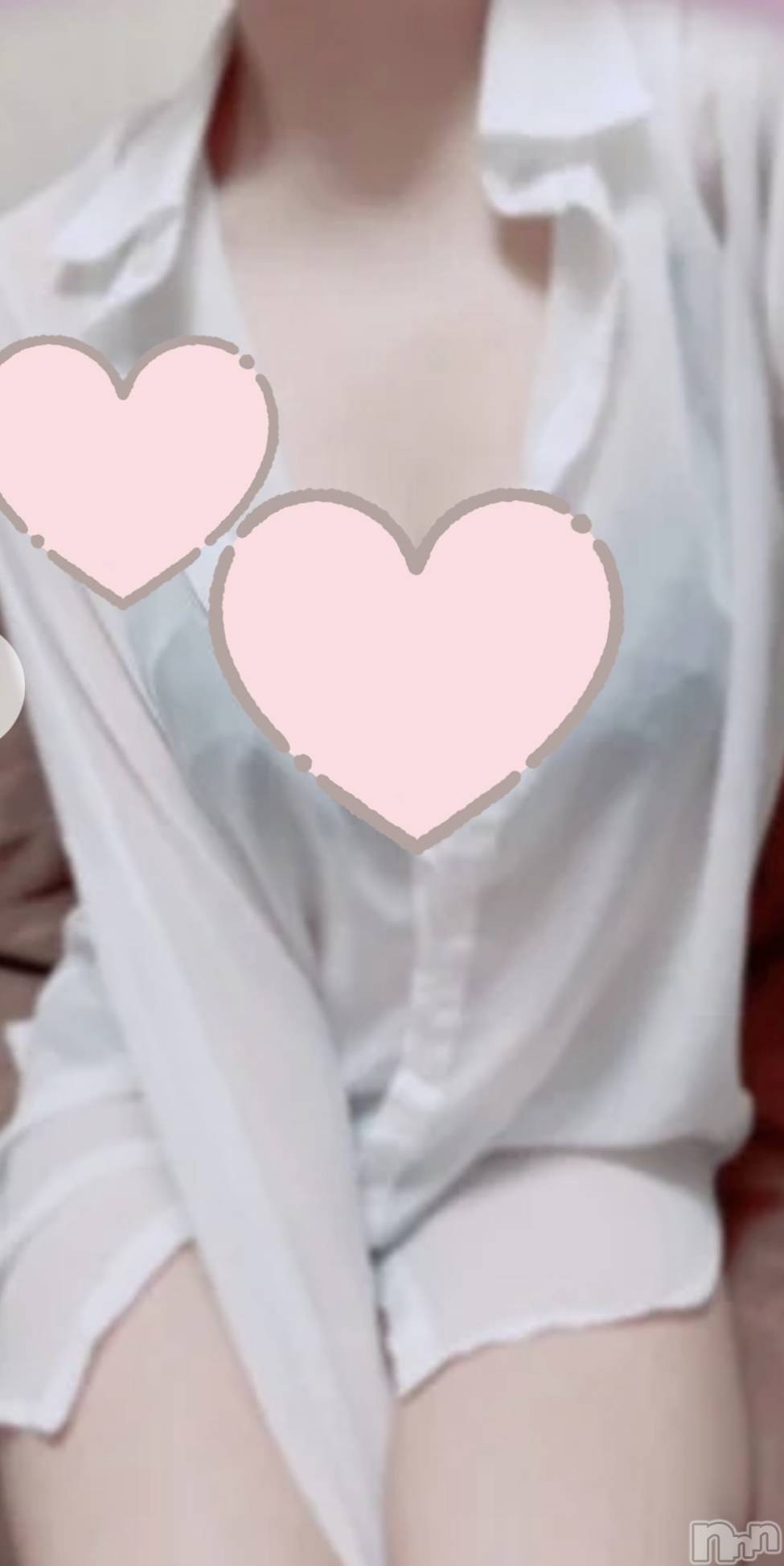 㡦ȯĥꥢ󥺥Ʋ֡(ϥʥϥ) 2025ǯ1018̥֥֤Ϥޤơ