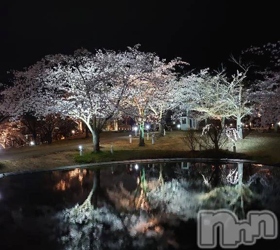 新潟デリヘル熟女の風俗 最終章(ジュクジョノフウゾクサイシュウショウ)ちより(49)の2026年4月6日写メブログ「お花見🌸💕」