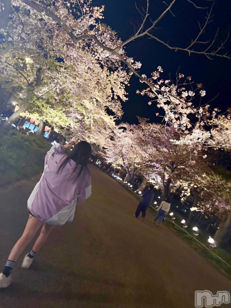 ����������ʥå��������륺�С����ʥå�����ܤ��(���ʥå�����ܥ����) ��ᤫ��4��20���̥�֥����֤��ָ���2��🌸��