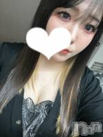 ᤫ ʥå륺С ʥåܤ(ʥåܥ)ҡ