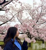 ����������ʥå��������륺�С����ʥå�����ܤ��(���ʥå�����ܥ����) ��ᤫ(27)��4��7���̥�֥����֤��ָ�🌸��