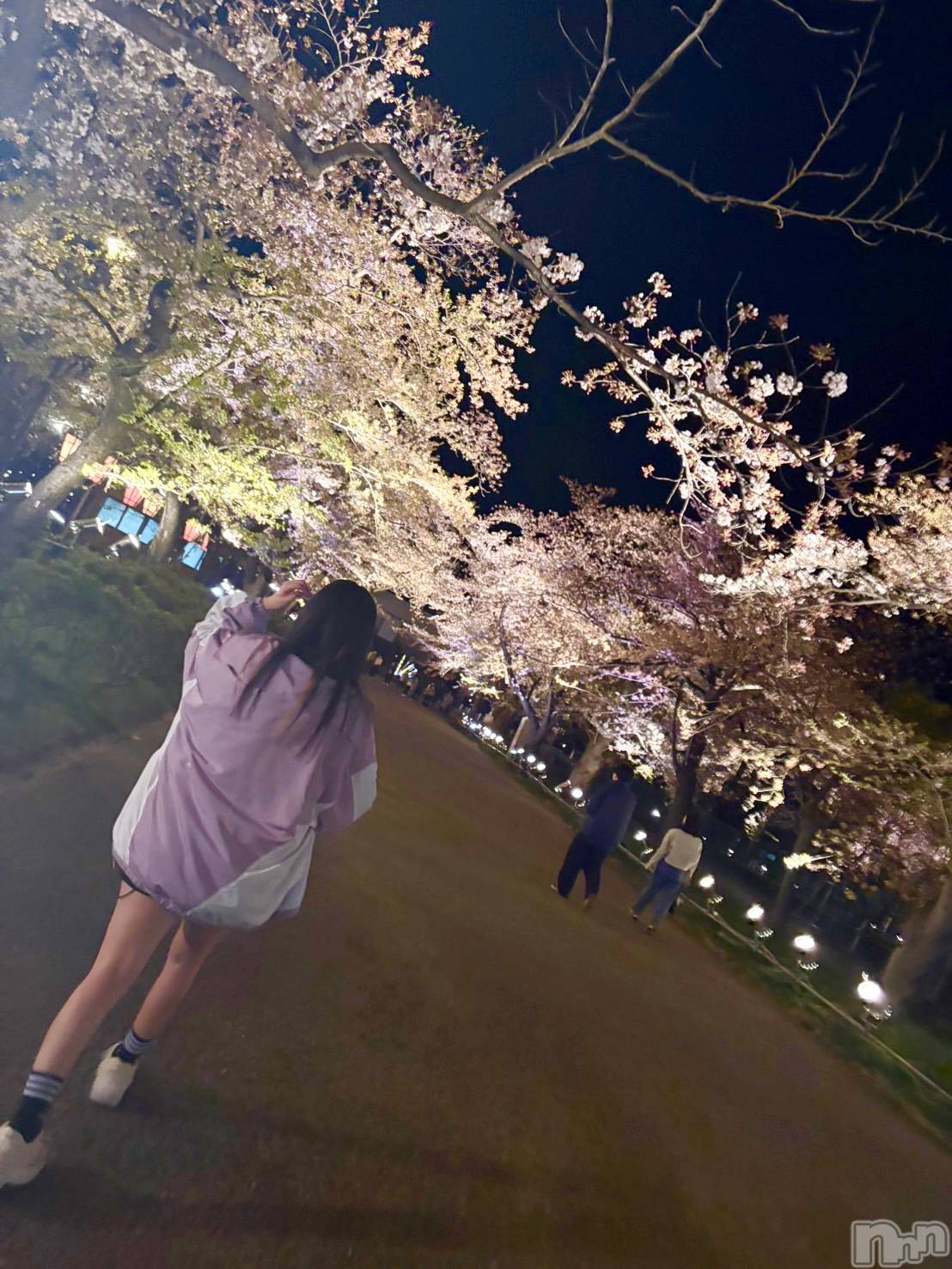 ����������ʥå��������륺�С����ʥå�����ܤ��(���ʥå�����ܥ����) ��2026ǯ4��20���̥�֥����֤��ָ���2��🌸��