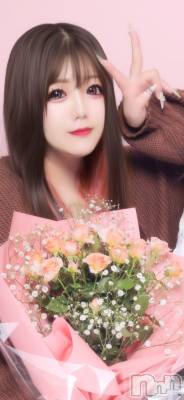 ����������ʥå��������륺�С����ʥå�����ܤ��(���ʥå�����ܥ����) ��ᤫ(27)��12��24���̥�֥����֤��Ϥʡ�