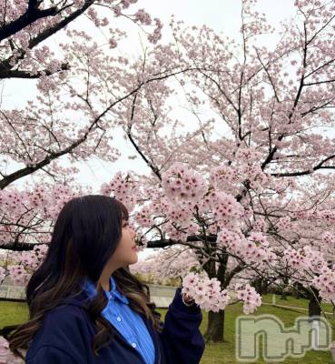 ����������ʥå��������륺�С����ʥå�����ܤ��(���ʥå�����ܥ����) ��ᤫ(27)��4��7���̥�֥����֤��ָ�🌸��