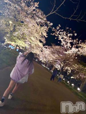 ����������ʥå��������륺�С����ʥå�����ܤ��(���ʥå�����ܥ����) ��ᤫ(27)��4��20���̥�֥����֤��ָ���2��🌸��