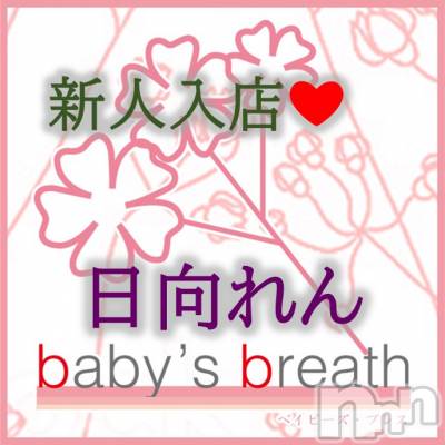 㡦ȯĥꥢ󥺥 baby's breath(٥ӡ֥쥹) ڿۤ͡β(1)