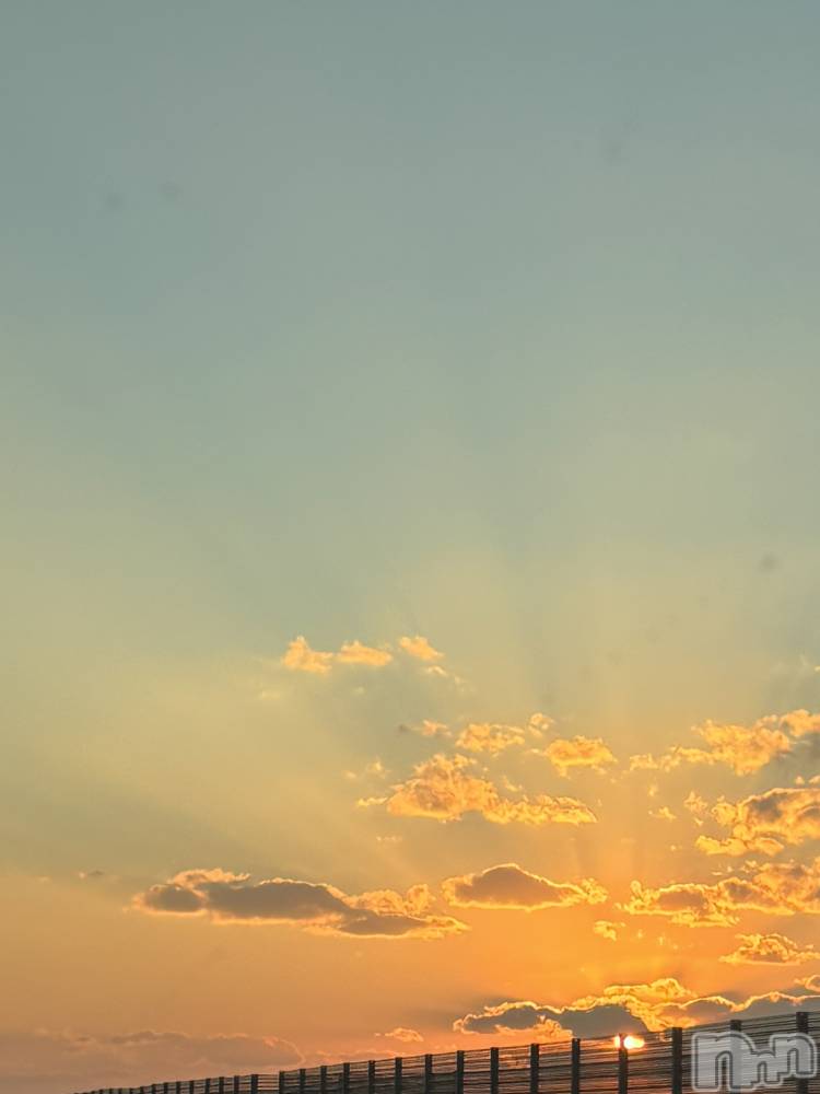 ʥå륺СʥåBar Peace(ʥåС ԡ) द111̥֥֥ϥ🎃