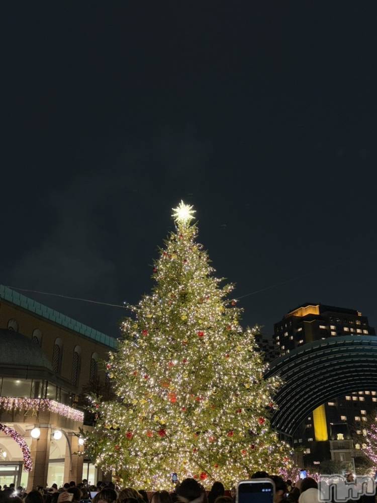 ����������ʥå��������륺�С����ʥå�Bar Peace(���ʥå��С� �ԡ���) �द��12��30���̥�֥�����2025💖��