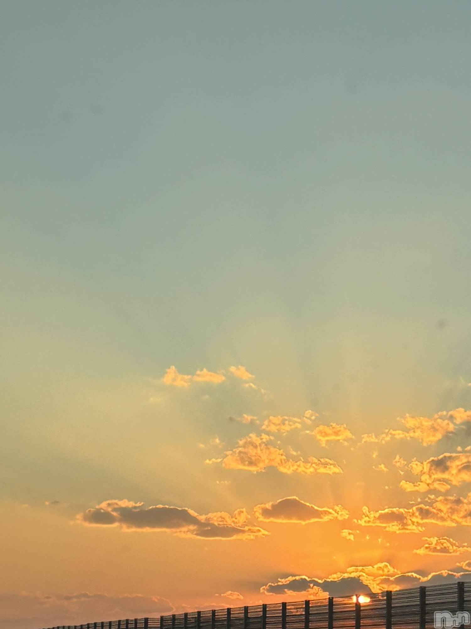 ʥå륺СʥåBar Peace(ʥåС ԡ) 2025ǯ111̥֥֥ϥ🎃