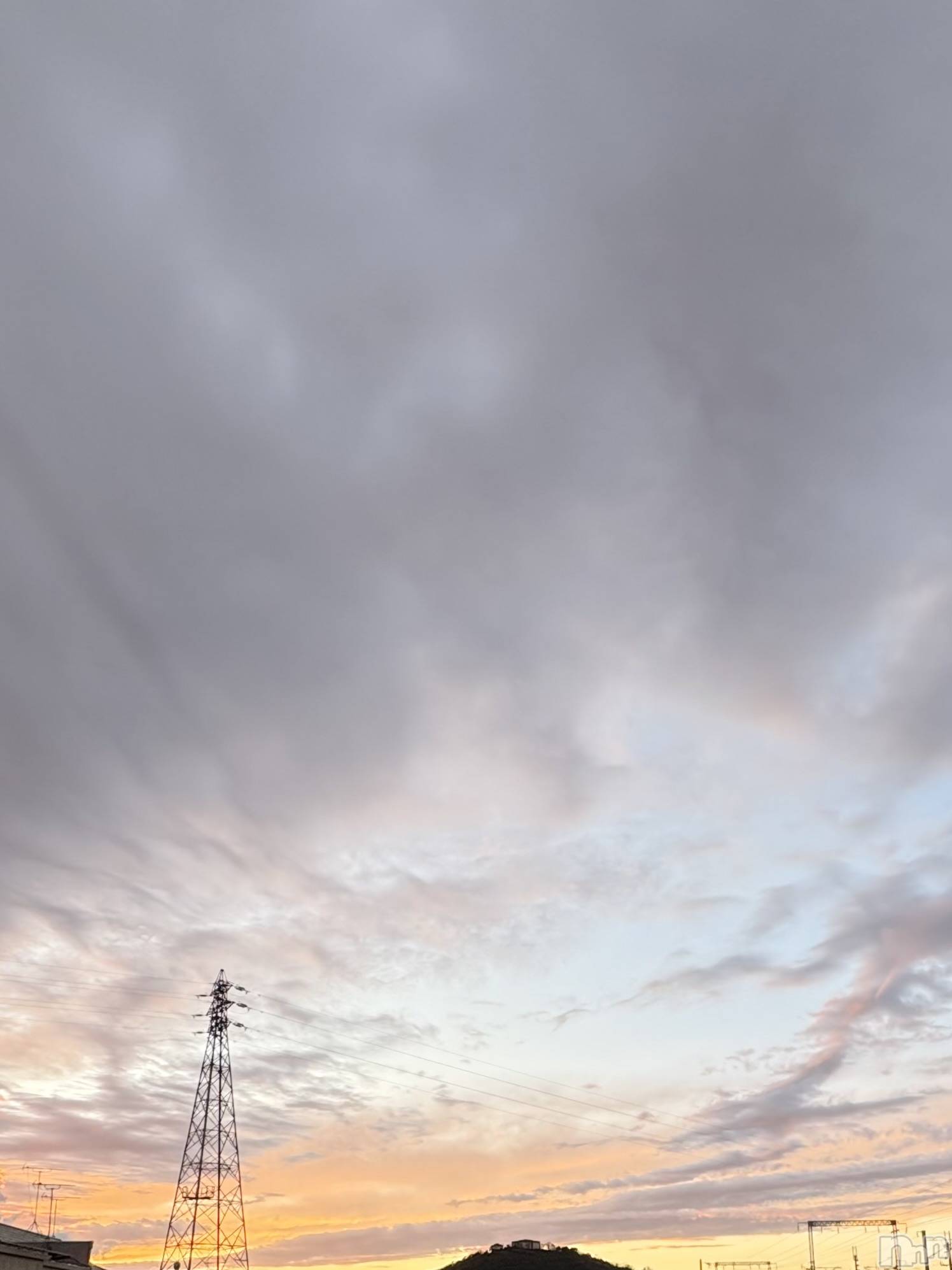 ����������ʥå��������륺�С����ʥå�Bar Peace(���ʥå��С� �ԡ���) ��2026ǯ1��3���̥�֥�����*🥶💨*��