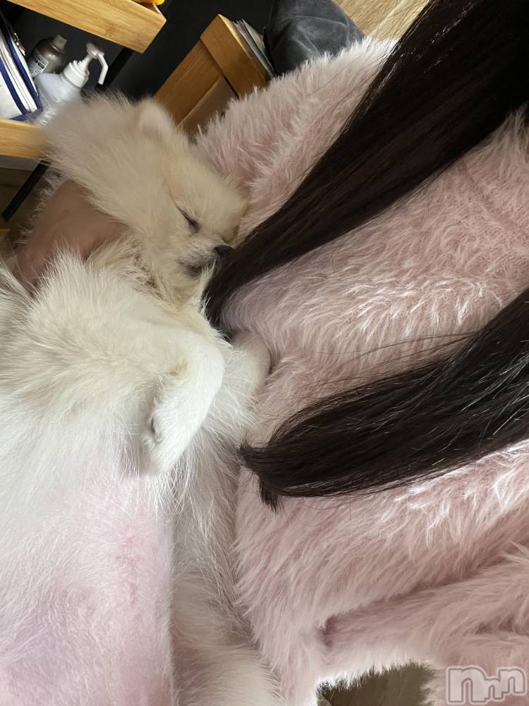 ����������ʥå��������륺�С����ʥå�Bar Peace(���ʥå��С� �ԡ���) �Ĥ��1��9���̥�֥�����🐴✨️��