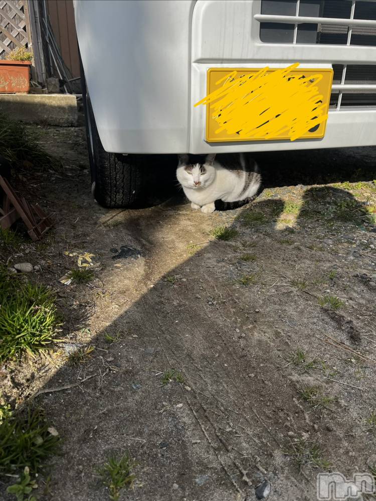 ����������ʥå��������륺�С����ʥå�Bar Peace(���ʥå��С� �ԡ���) �Ĥ��3��11���̥�֥�����🐈��