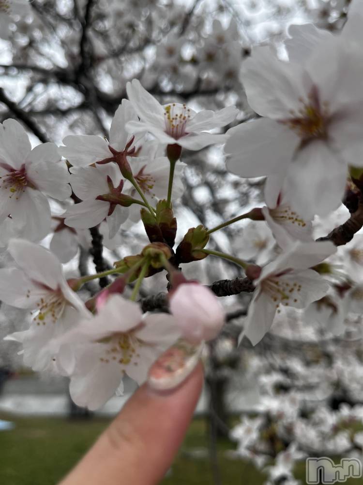 ����������ʥå��������륺�С����ʥå�Bar Peace(���ʥå��С� �ԡ���) �Ĥ��4��6���̥�֥�����🌸��