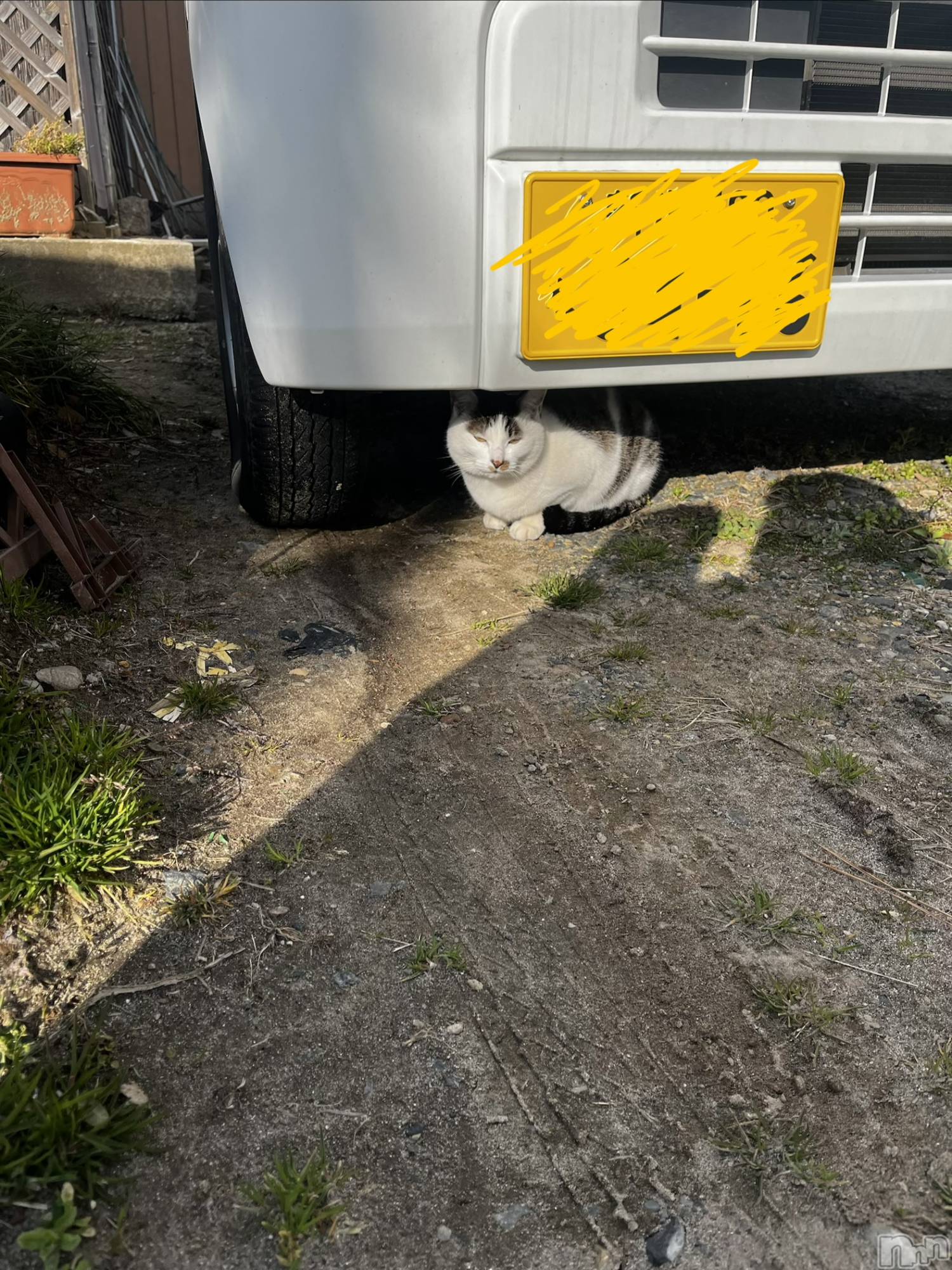 ����������ʥå��������륺�С����ʥå�Bar Peace(���ʥå��С� �ԡ���) ��2026ǯ3��11���̥�֥�����🐈��