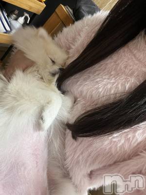 ����������ʥå��������륺�С����ʥå�Bar Peace(���ʥå��С� �ԡ���) �Ĥ��1��9���̥�֥�����🐴✨️��