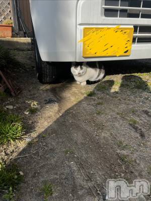 ����������ʥå��������륺�С����ʥå�Bar Peace(���ʥå��С� �ԡ���) �Ĥ��3��11���̥�֥�����🐈��