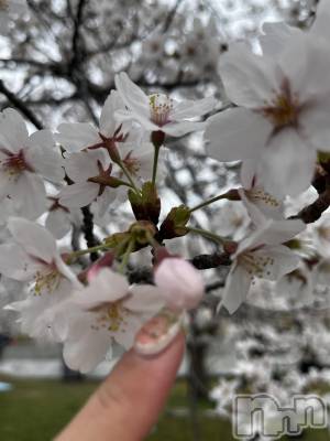 ����������ʥå��������륺�С����ʥå�Bar Peace(���ʥå��С� �ԡ���) �Ĥ��4��6���̥�֥�����🌸��