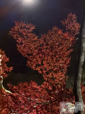 Х顦Diletto(ǥå) ޤ(19)1120̥֥🍁