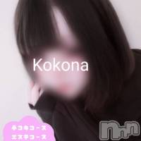 体験ここは