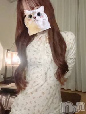 新潟メンズエステ あろまえすて＠新潟(アロマエステアットニイガタ) 蝶羽＊あげは(23)の11月17日写メブログ「^ ܸ.  ̫ .ܸ ^♡」