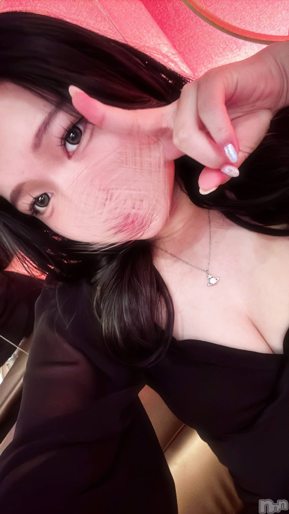 �����������Х��顦�����Diletto(�ǥ���å�) ��2026ǯ2��10���̥�֥����ֹ��ɥ쥹����