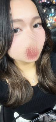 Х顦Diletto(ǥå) juri1120ִ̥֥