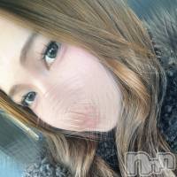 �����������Х��顦����� Diletto(�ǥ���å�) juri�β���(2����)